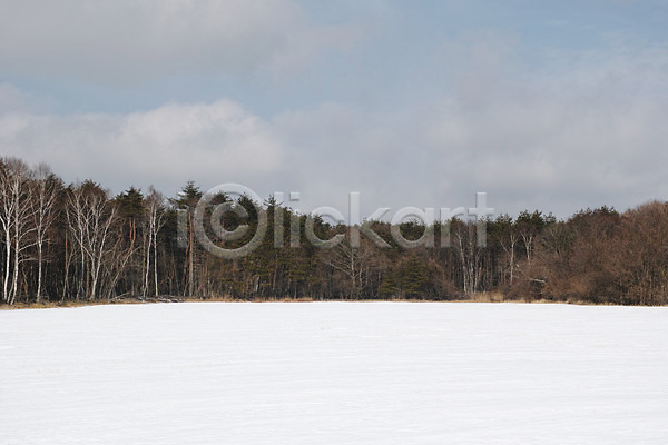 사람없음 JPG 포토 겨울 겨울풍경 계절 구름(자연) 나무 눈(날씨) 설원 숲 식물 야외 자연 주간 풍경(경치) 하늘