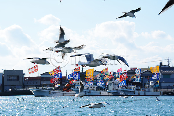 사람없음 JPG 포토 갈매기 건물 구름(자연) 깃발 동물 바다 배(교통) 비행 야외 여러마리 일본 조류 주간 풍경(경치) 하늘 항구 해외풍경