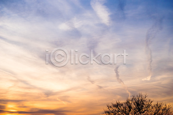 사람없음 JPG 포토 구름(자연) 나무 노을 식물 야외 일몰 자연 자연현상 풍경(경치) 하늘