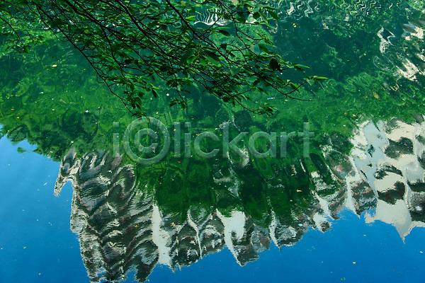 사람없음 JPG 포토 강 건축물 나뭇가지 메구로강 물 물그림자 반사 빌딩 식물 아시아 야외 연못 일본 자연 주간 풍경(경치) 해외풍경