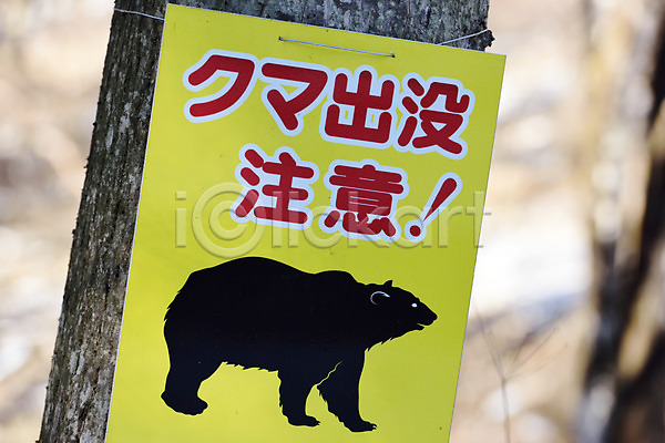 사람없음 JPG 아웃포커스 포토 경고 경고문 곰 나무 동물 식물 야생동물 야외 일본 일본어 주간 표지판 풍경(경치) 한자