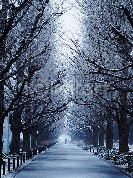 두명 사람 JPG 포토 가로수 겨울 겨울풍경 계절 길 나무 눈(날씨) 산책로 식물 야외 원근감 자동차 자연 주간 풍경(경치)
