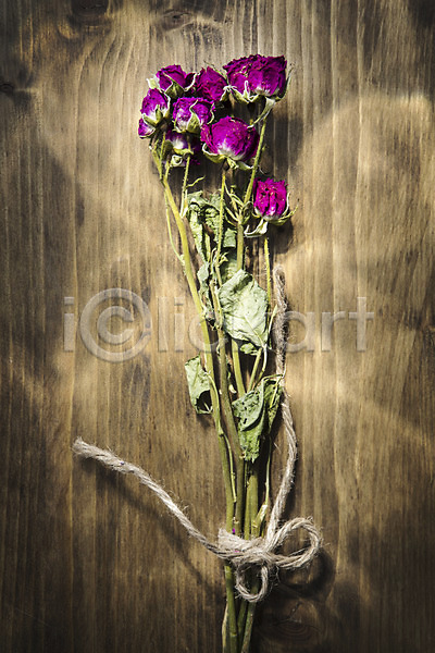 사람없음 JPG 포토 꽃 꽃다발 꽃백그라운드 나무바닥 노끈 스튜디오촬영 식물 실내 장미