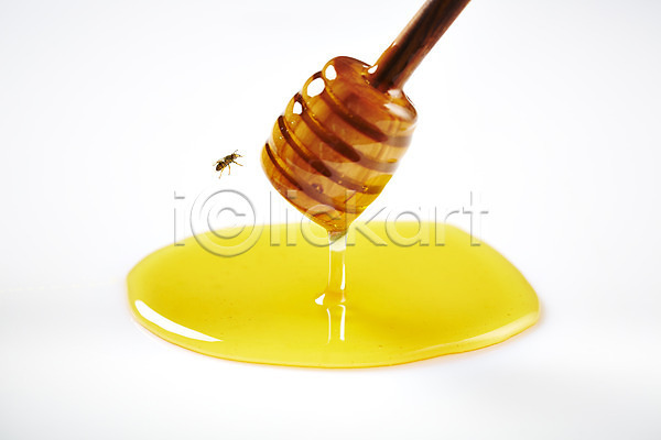사람없음 JPG 포토 곤충 꿀 꿀벌 백그라운드 벌(곤충) 벌꿀 스튜디오촬영 실내 음식 허니디퍼