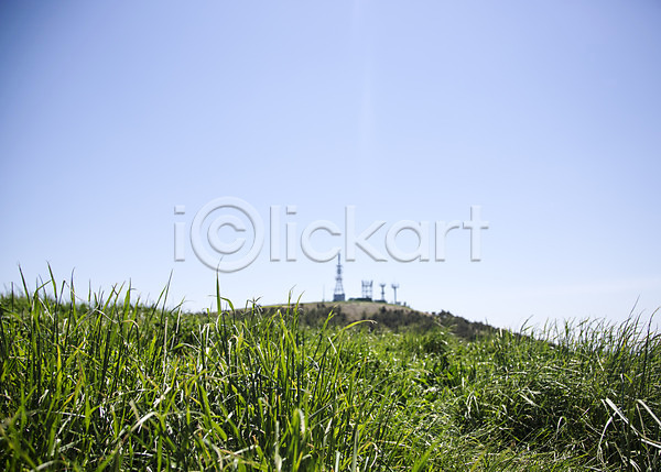 사람없음 JPG 포토 식물 야외 자연 잔디 제주도 주간 풀(식물) 풍경(경치) 하늘 한국