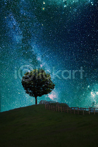 신비 화려 사람없음 3D JPG 디지털합성 편집이미지 나무 디지털아트 밤하늘 백그라운드 별 별빛 식물 언덕 우주 울타리 은하수(은하) 한그루 합성