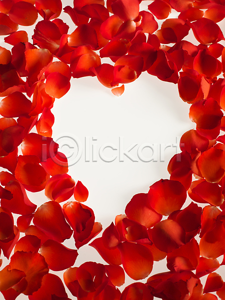 사람없음 JPG 포토 하이앵글 해외이미지 꽃잎 발렌타인데이 빨간색 오브젝트 장미 카피스페이스 프레임 하트 흰배경