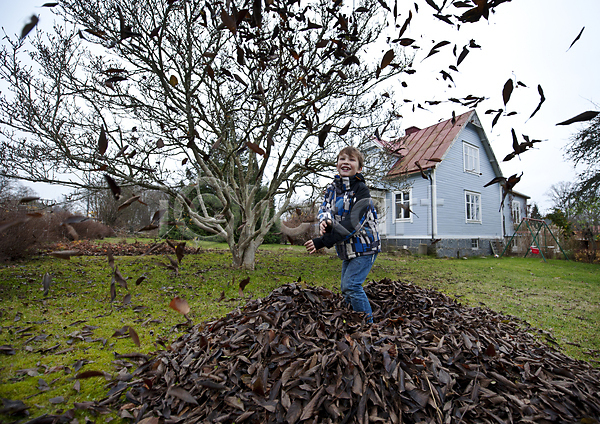 소년 어린이 한명 JPG 포토 해외이미지 가을(계절) 놀이 쌓기 잎 자연 정원 주택 해외202004 흙더미