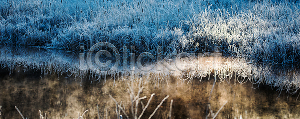 시원함 신선 추위 침묵 사람없음 JPG 포토 해외이미지 강 내추럴 냉동 맑음 물 빛 서리 습지 안개 잎 자연 잡초 파란색 해외202004 해외포토 햇빛