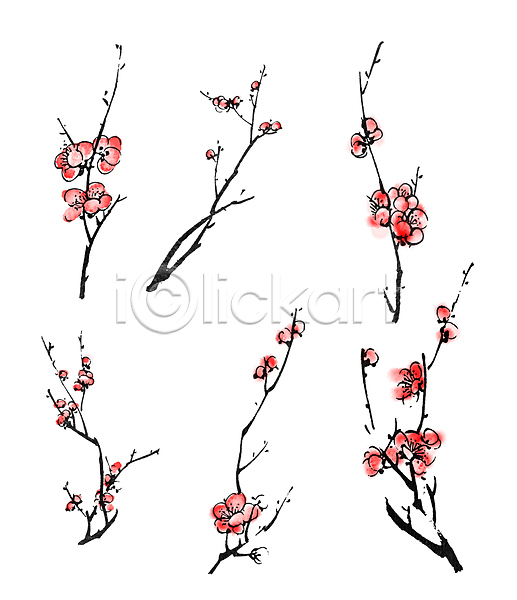 사람없음 JPG 포토 해외이미지 그림 꽃가지 나뭇가지 동양화 먹 미술 번짐 벚꽃 붓터치 빨간색 해외202004