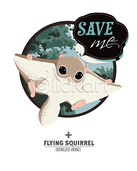 사람없음 PSD 일러스트 나무 동물 동물캐릭터 멸종동물 숲 캐릭터 포유류 하늘다람쥐
