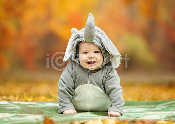 남자 남자아기한명만 서양인 아기 한명 JPG 아웃포커스 앞모습 포토 해외이미지 가을(계절) 낙엽 동물옷 미소(표정) 야외 엎드리기 잠옷 전신 주간 코끼리