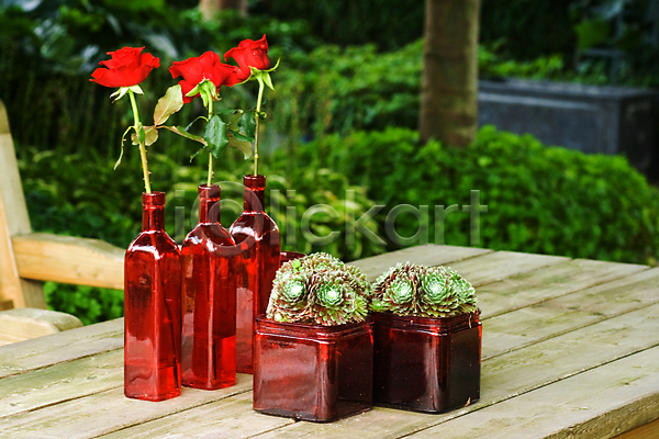 침묵 사람없음 JPG 포토 해외이미지 목재 빨간색 세로 식물 여름(계절) 유리 자연 장미 장식 정원 초록색 탁자 해외202004