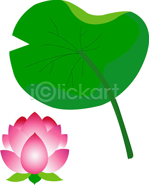 사람없음 EPS 아이콘 꽃 나뭇잎 분홍색 불교 식물 여름꽃 연 연꽃(꽃) 오브젝트 자연 컬러