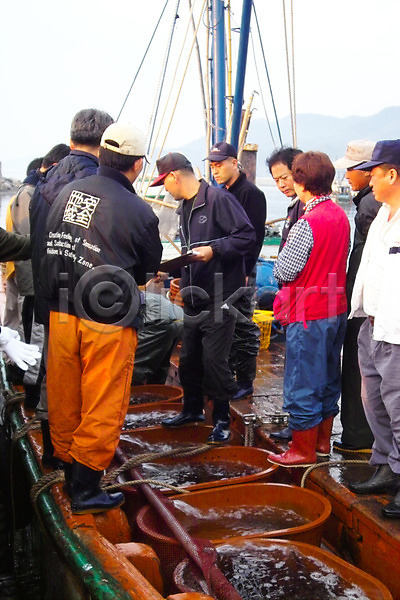 남자 사람 여러명 여자 JPG 포토 경매 교통 배(교통) 백그라운드 산업 수상교통 야외 어류 어부 어선 어업 어촌 주간 해산물
