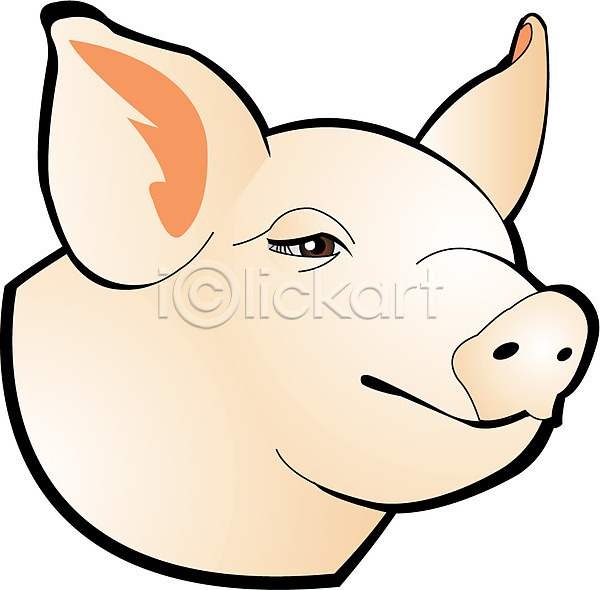 사람없음 EPS 아이콘 동물 돼지 돼지띠 십이지신 운세 육지동물 척추동물 클립아트 포유류