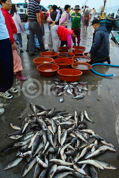 남자 사람 여러명 여자 JPG 포토 고등어 도시 동물 부둣가 수산시장 시장 야외 어류 어부 어시장 어업 자연 장사 주간 풍경(경치) 항구