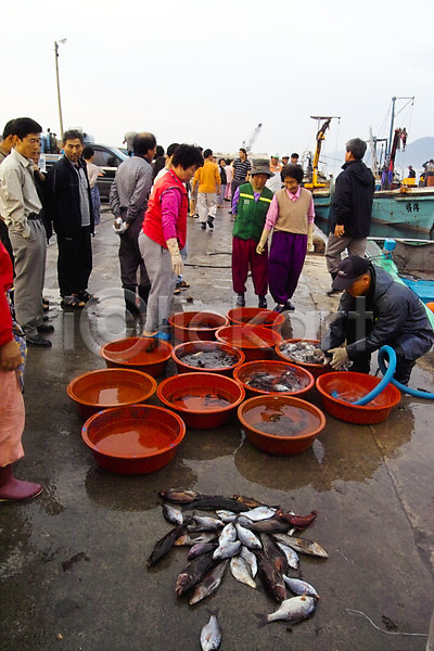 남자 사람 여러명 여자 JPG 포토 고등어 도시 동물 부둣가 수산시장 시장 야외 어류 어부 어시장 어업 자연 장사 주간 풍경(경치) 항구