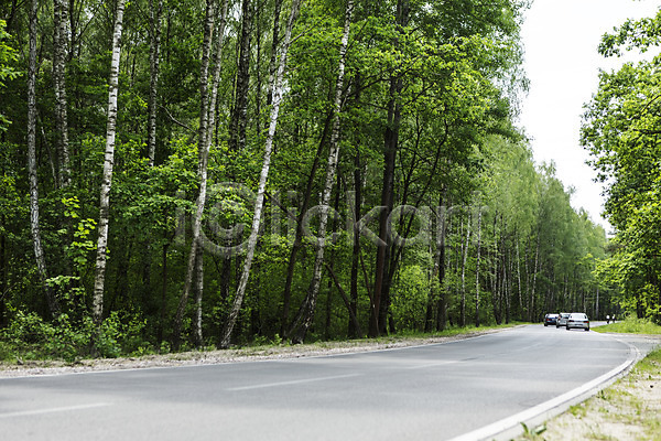 사람없음 JPG 포토 나무 도로 동유럽 바르샤바 식물 야외 유럽 자동차 주간 폴란드 풍경(경치) 해외풍경