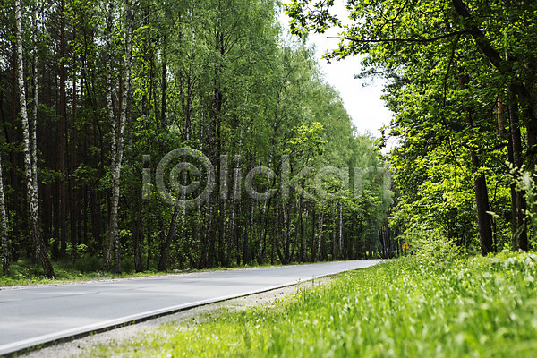 사람없음 JPG 포토 나무 도로 동유럽 바르샤바 식물 야외 유럽 주간 폴란드 풍경(경치) 해외풍경