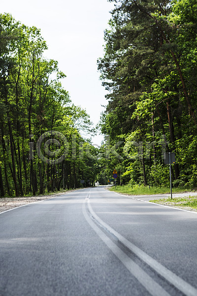 사람없음 JPG 포토 나무 도로 동유럽 바르샤바 식물 야외 유럽 주간 폴란드 풍경(경치) 해외풍경