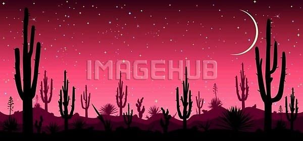 EPS 실루엣 일러스트 해외이미지 검은색 그래픽 달 멕시코 배너 백그라운드 별 사막 생태학 선인장 식물 애리조나 야간 야외 여행 자연 장면 저녁 직사각형 풍경 하늘 해외202004 해외일러스트