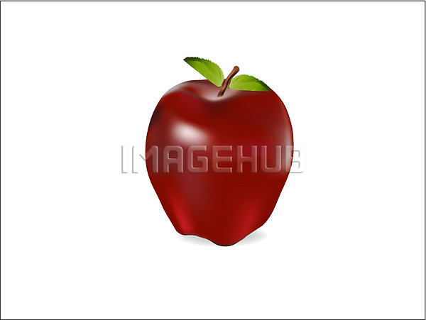 달콤 EPS 일러스트 해외이미지 건강 과일 그림 빨간색 사과 숙성 음식 잎 자연 해외202004