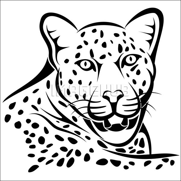위험 EPS 일러스트 해외이미지 고양이 공원 눈(신체부위) 동물 문신 사파리 스케치 심볼 아프리카 야생동물 야외 육식동물 자연 재규어 조심 총구 치아 털 포식 포유류 표범 해외202004 환경 황무지