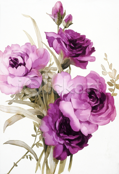 사람없음 JPG 일러스트 해외이미지 그림 꽃다발 번짐 붓터치 수채화(물감) 식물 장미 해외202004