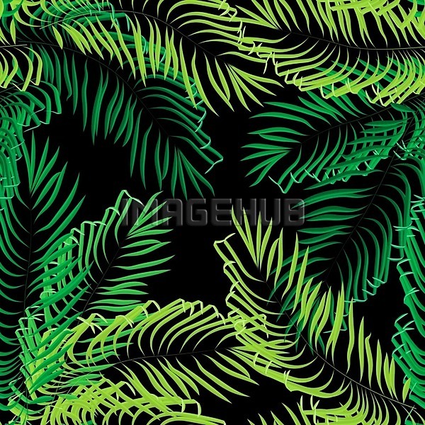 신선 EPS 일러스트 해외이미지 계절 그래픽 그림 나무 디자인 미술 백그라운드 벽지 봄 브라질 손바닥 숲 식물 알로하 여름(계절) 열대우림 유행 이국적 인쇄 잎 자연 장식 접수 질감 초록색 캘리포니아 파라다이스 패턴 하와이 하와이인 해외202004