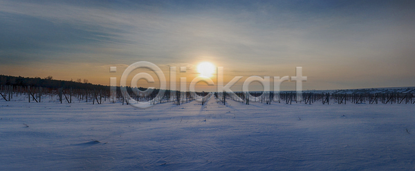 추위 사람없음 JPG 포토 해외이미지 건포도 겨울 계곡 계절 고드름 나무 나뭇가지 날씨 냉동 농업 농장 백그라운드 산업 시간 시골 식물 야외 양조 양조장 언덕 얼음 여행 음료 음식 잎 자연 장면 조경 태양 파노라마 포도 포도나무 포도밭 풍경 하늘 해외202004 해외포토 햇빛 흰색