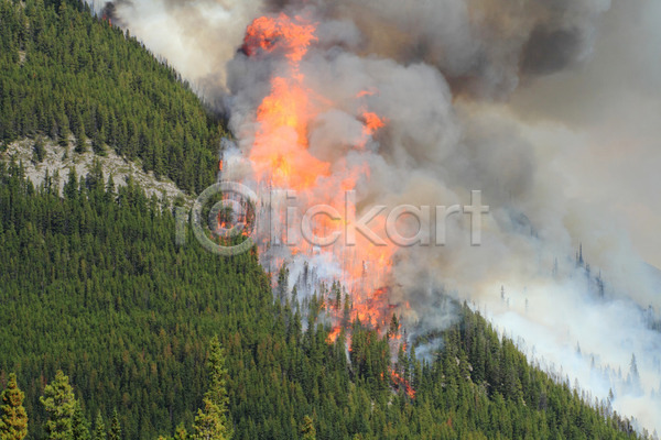 위험 사람없음 JPG 포토 해외이미지 나무 노란색 불 불꽃(불) 산 산불 숲 연기 연소 해외202004 화재