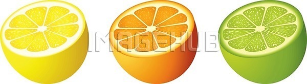 신선 EPS 일러스트 해외이미지 건강 고립 과일 귤 그래픽 디저트 라임 레몬 만화 먹기 세트 스크랩북 아침식사 오렌지 음식 조각 채식주의자 클립아트 해외202004 해외일러스트