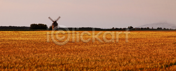 사람없음 JPG 포토 해외이미지 건축양식 그림 농업 농작물 목재 물 밀 밭 수확 숙성 시골 시리얼 야외 역사 일몰 자연 저녁 전통 천연기념물 칼날 큼 풍경 풍차 프랑스 해외202004 해외포토 황금 황혼