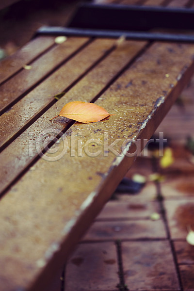 감성 사람없음 JPG 포토 가을(계절) 가을풍경 계절 낙엽 날씨 단풍 백그라운드 벤치 비(날씨) 식물 야외 자연 젖음 주간 풍경(경치)