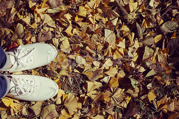 감성 사람 JPG 포토 가을(계절) 가을풍경 계절 낙엽 단풍 발 배경화면 백그라운드 식물 신발 야외 자연 주간 풍경(경치)