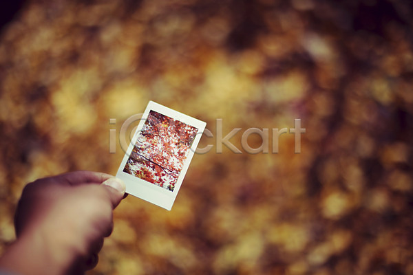 감성 사람 신체부위 JPG 포토 가을(계절) 가을풍경 계절 기념사진 낙엽 단풍 백그라운드 손 식물 야외 자연 주간 폴라로이드 풍경(경치)