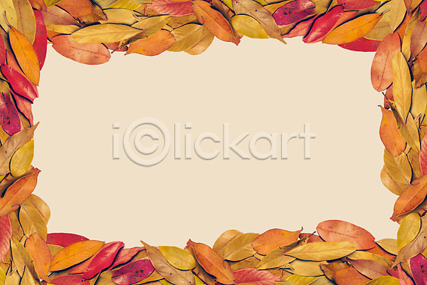 감성 사람없음 JPG 포토 가을(계절) 가을풍경 계절 낙엽 단풍 백그라운드 식물 자연 풍경(경치) 프레임