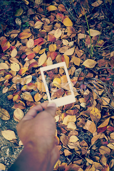 감성 사람 신체부위 JPG 포토 가을(계절) 가을풍경 계절 낙엽 단풍 백그라운드 손 식물 야외 자연 주간 폴라로이드 풍경(경치) 필름