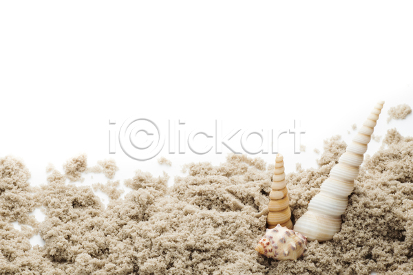 사람없음 JPG 포토 해외이미지 가리비 고립 기념품 껍질 모래 바다 백그라운드 별 불가사리 산호 심볼 여름(계절) 오브젝트 자연 컨셉 태평양 프레임 해변 해외202004 햇빛 흰색