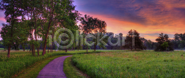 고독 순수 침묵 평화 사람없음 JPG 포토 해외이미지 공원 길 나무 나뭇가지 덴마크 봄 빛 상록수 속도 숲 아침 여름 일출 자작나무 천국 초록색 컬러풀 펼침 풍경 해외202004 해외포토 햇빛 환경