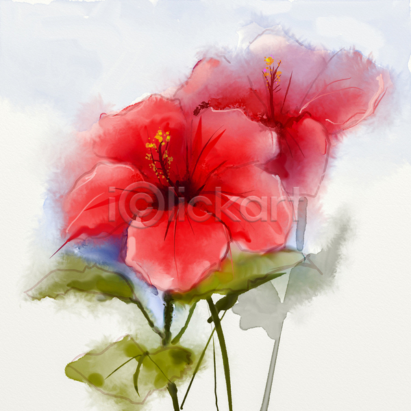 사람없음 JPG 포토 해외이미지 그림 꽃 미술 번짐 빨간색 손그림 수채화(물감) 해외202004 히비스커스