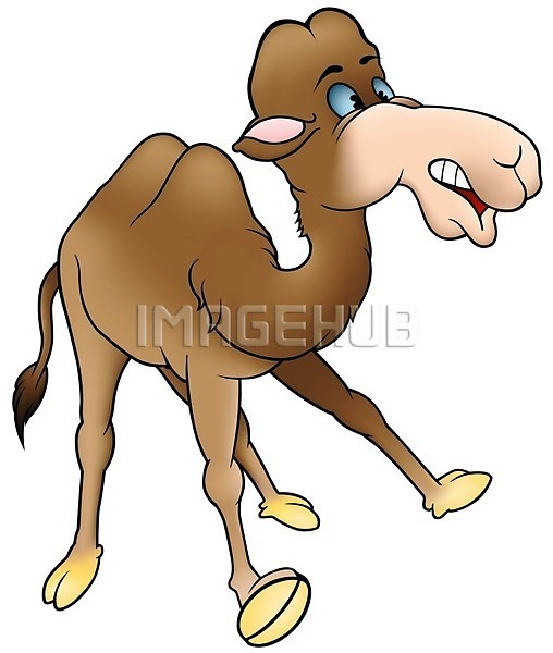 EPS 일러스트 해외이미지 갈색 고립 그림 낙타 동물 만화 사막 서기 손그림 아프리카 클립아트 포유류 해외202004 혹