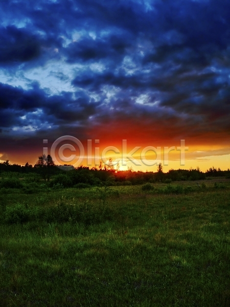 침묵 사람없음 JPG 포토 해외이미지 구름(자연) 꽃 날씨 넘어짐 밭 숲 어둠 여름(계절) 오렌지 일몰 저녁 초록색 태양 파란색 해외202004