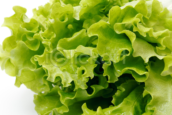 사람없음 JPG 포토 해외이미지 1 건강 건강식 과일 꽃무늬 내추럴 다이어트 배급 백그라운드 상추 식물 식사 싱글 오브젝트 유기농 음식 잎 자연 채소 채식주의자 초록색 해외202004 흰색