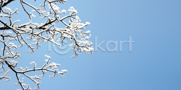 사람없음 JPG 포토 해외이미지 겨울 겨울풍경 나뭇가지 맑음 상고대 야외 주간 풍경(경치) 하늘 해외202004