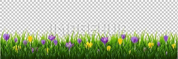 신선 EPS 일러스트 해외이미지 4월 개화 계절 고립 꽃 꽃무늬 꽃잎 닫기 들꽃 디자이너 디테일 라일락 많음 묘사 백그라운드 벚꽃 보라색 봄 부활절 식물 신용카드 오브젝트 잎 자연 제비꽃 초록색 파란색 프레임 해외202004 해외일러스트 현실 흰색