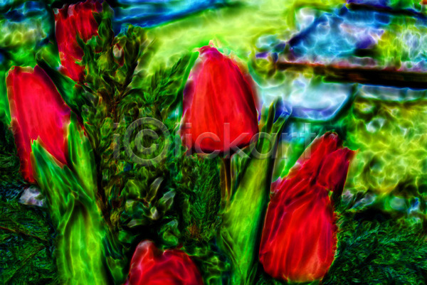 사람없음 JPG 포토 해외이미지 꽃 노란색 미술 밭 벚꽃 봄 빨간색 식물 제비꽃 줄기 초록색 컬러풀 튤립 해외202004 흰색