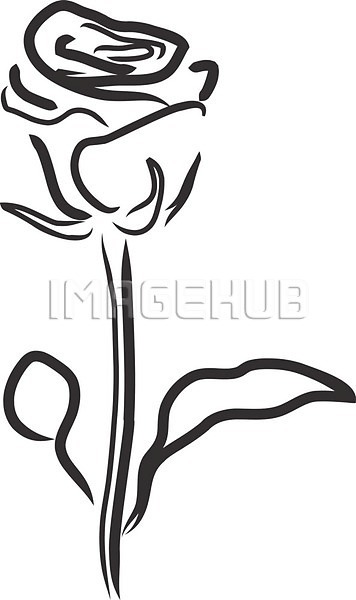 EPS 실루엣 일러스트 해외이미지 흑백 검은색 고립 그래픽 그림 꽃 꽃무늬 디자인 미술 백그라운드 벽 수확 스케치 스타일 식물 심볼 엘리먼트 윤곽 잎 자연 장미 장식 패턴 프레임 해외202004 흰색