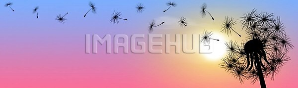 EPS 실루엣 일러스트 해외이미지 검은색 계절 꽃 내추럴 민들레 배너 백그라운드 봄 분홍색 빛 새벽 생태학 솜털 식물 씨앗 아침 야외 일몰 자연 저녁 태양 파란색 하늘 해외202004 해외일러스트 햇빛 환경